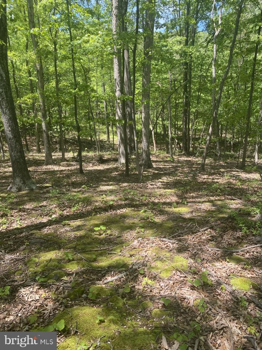 Discover the perfect canvas for your dream home on this enchanting 3.03-acre wooded lot. Nestled just 10 minutes from the vibrant heart of downtown Hancock, this property offers a serene escape from the hustle and bustle. As you explore the lot, you'll be captivated by the towering trees and the natural beauty surrounding you. At the north end, a charming seasonal stream meanders through the landscape. Imagine waking up to the sounds of nature and creating a sanctuary tailored to your vision. This idyllic location is the perfect blend of tranquility and convenience, waiting for you to make it your own.