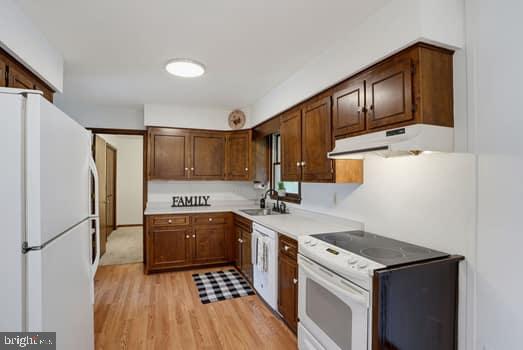104 SOUTH CANVASBACK COURT