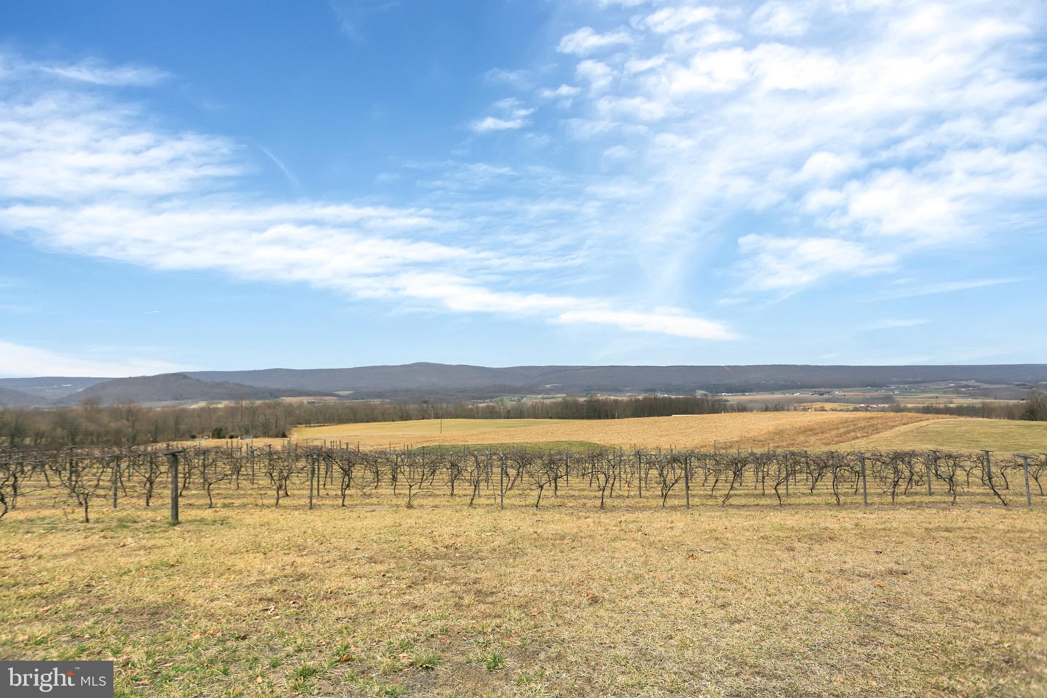 BIG COVE TANNERY - Residential