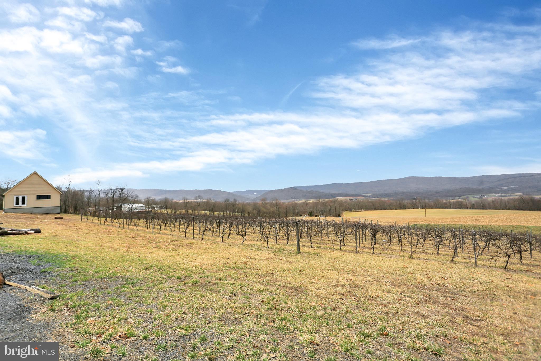 BIG COVE TANNERY - Residential