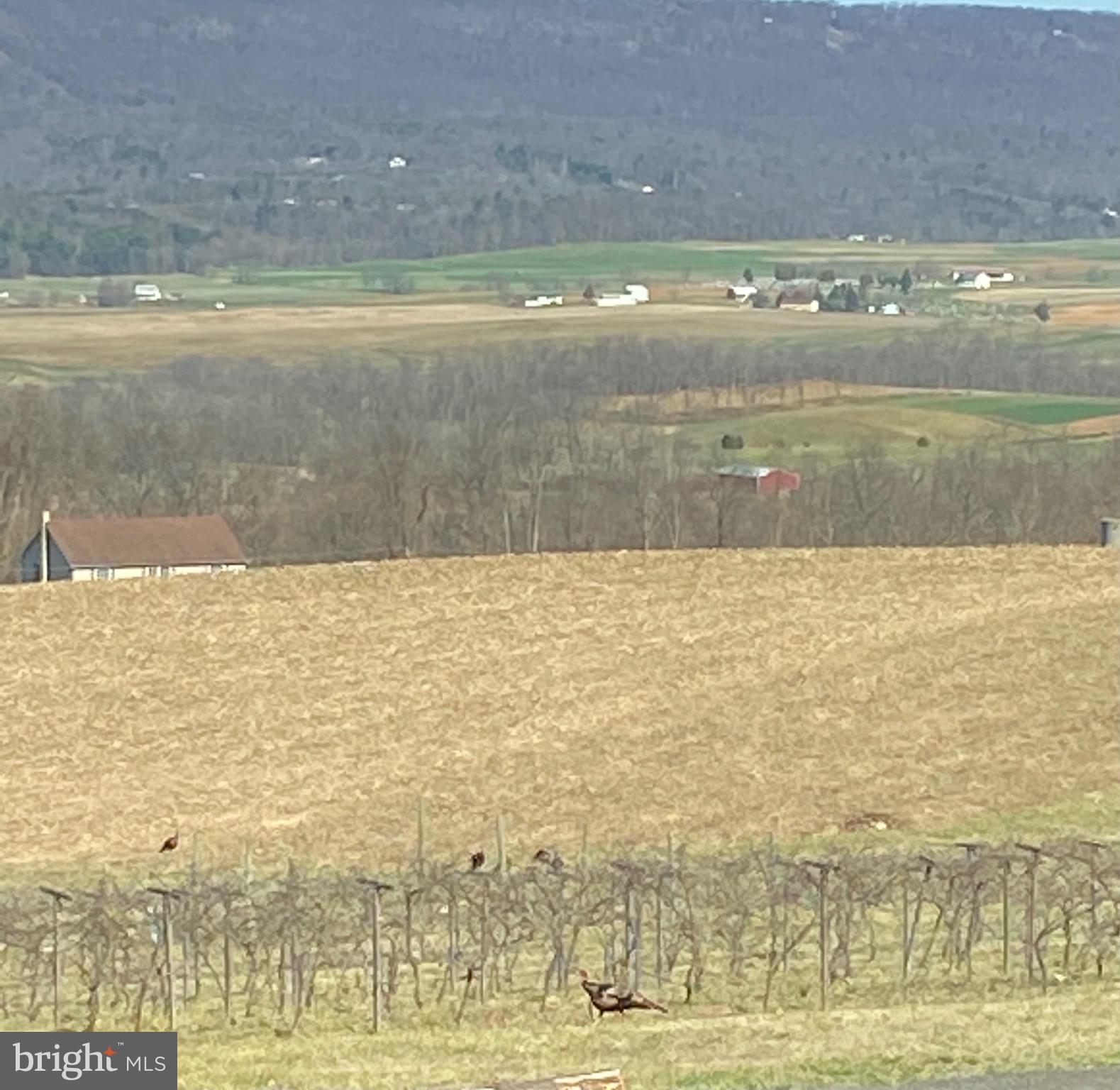 BIG COVE TANNERY - Residential