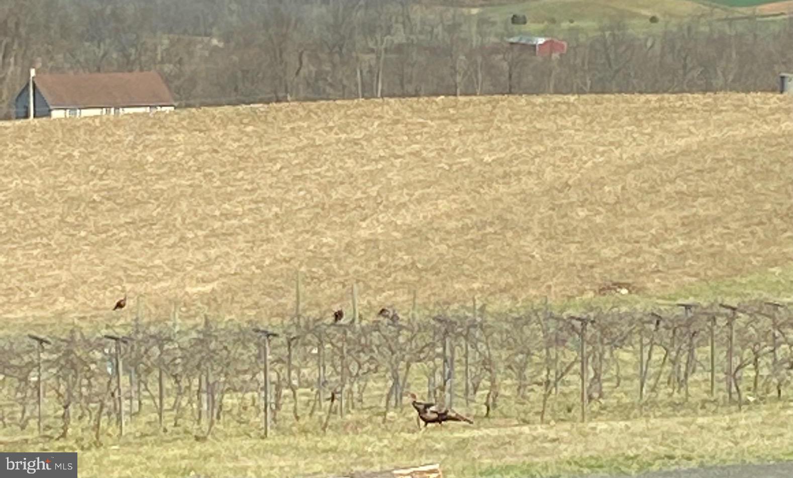 BIG COVE TANNERY - Residential