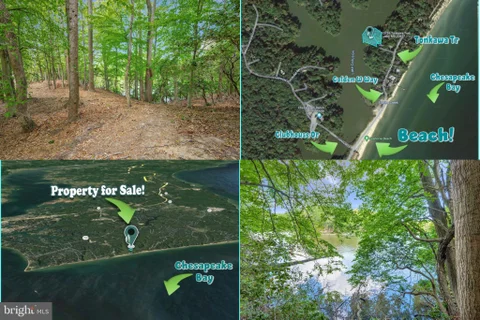 MLS: MDCA2027096