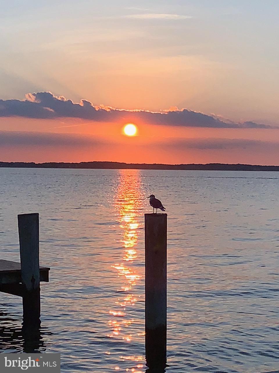 CAINE KEYS II EXT - Residential