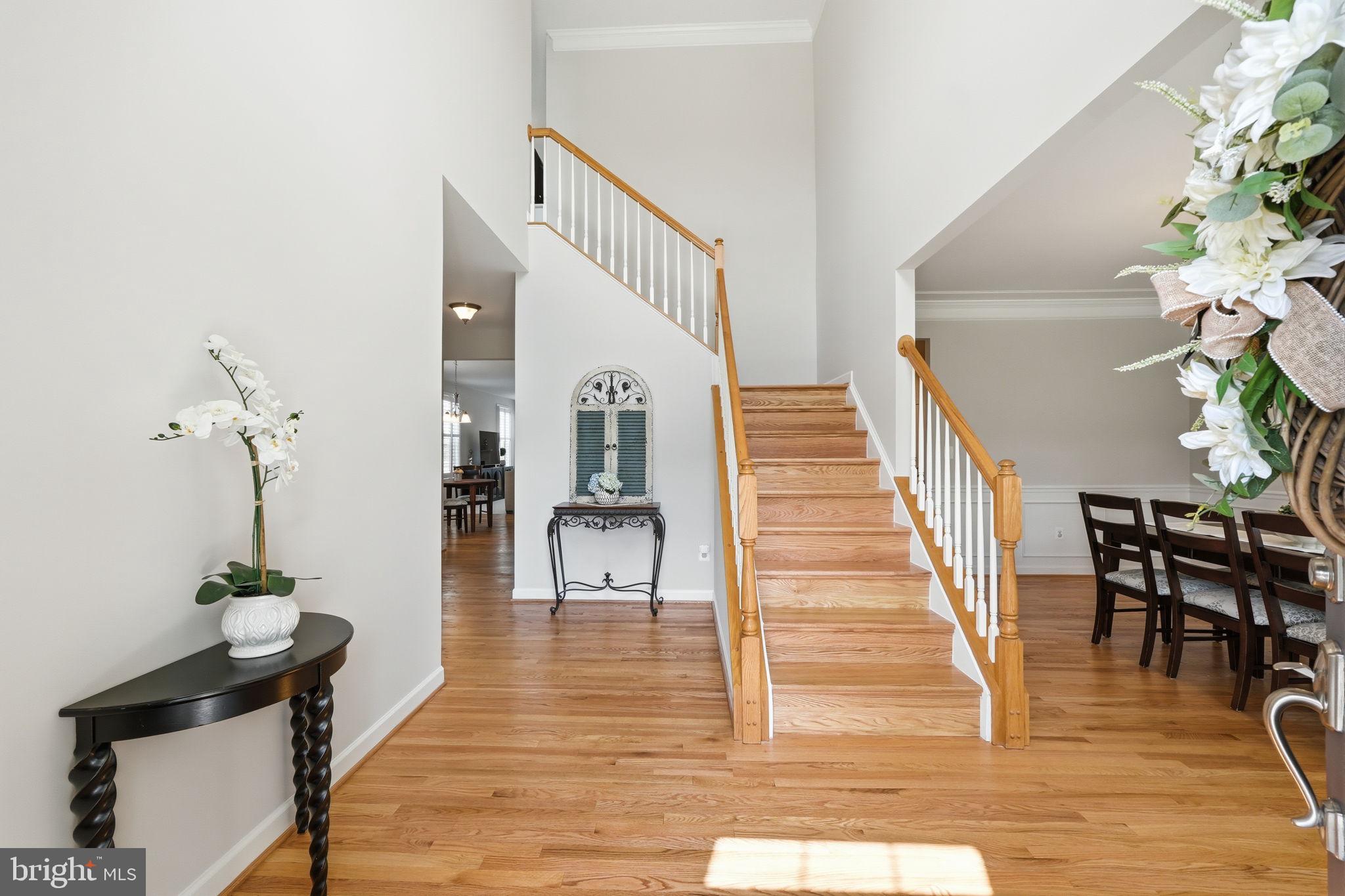 41688 BLUE GRAMA CIRCLE