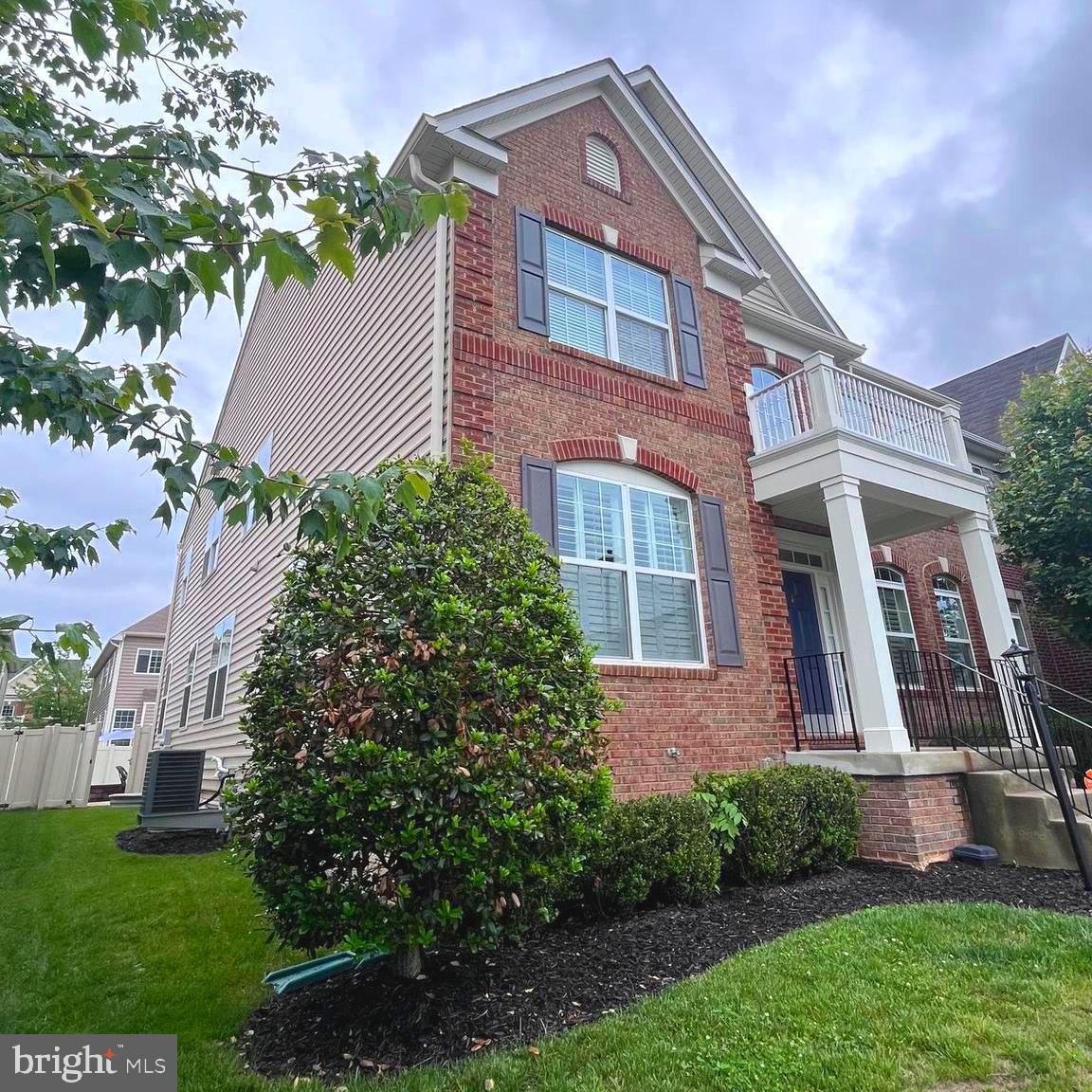 41688 BLUE GRAMA CIRCLE