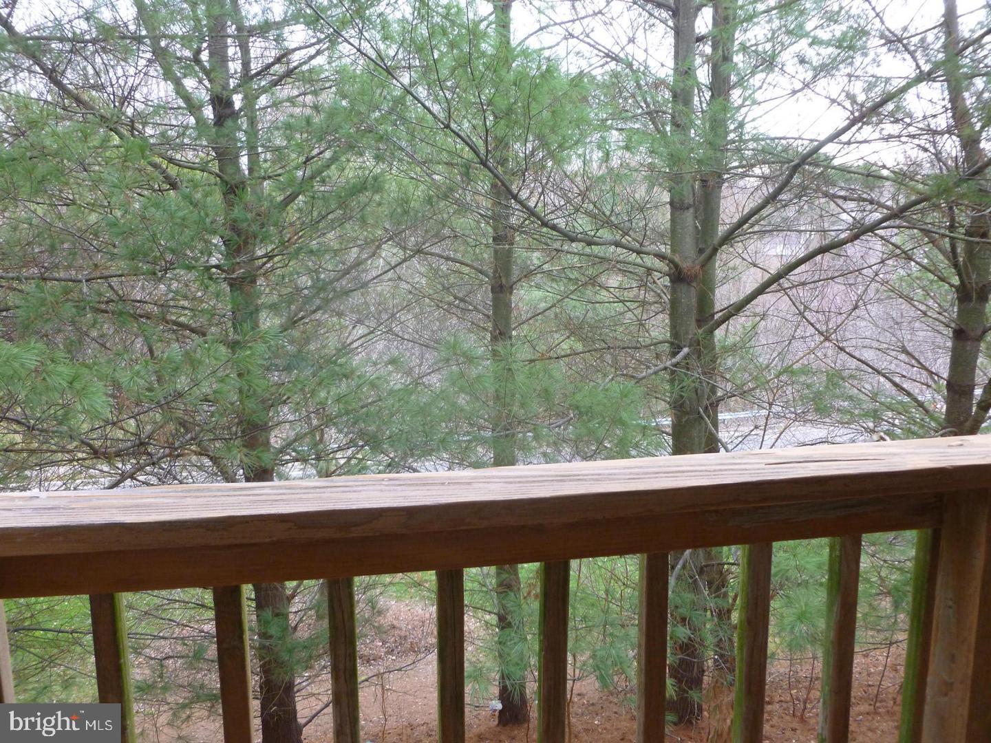 RED FOX FARMS - Residential Lease