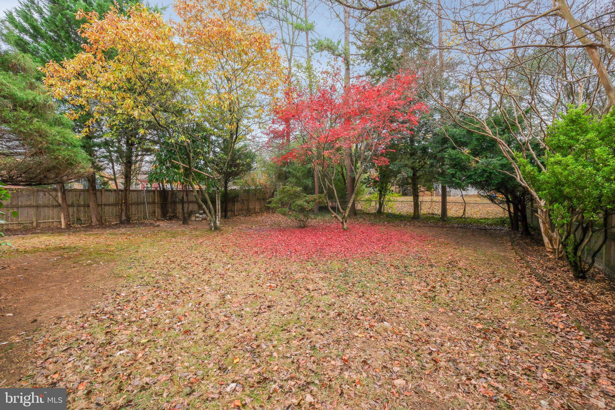 MONTROSE - Residential Lease