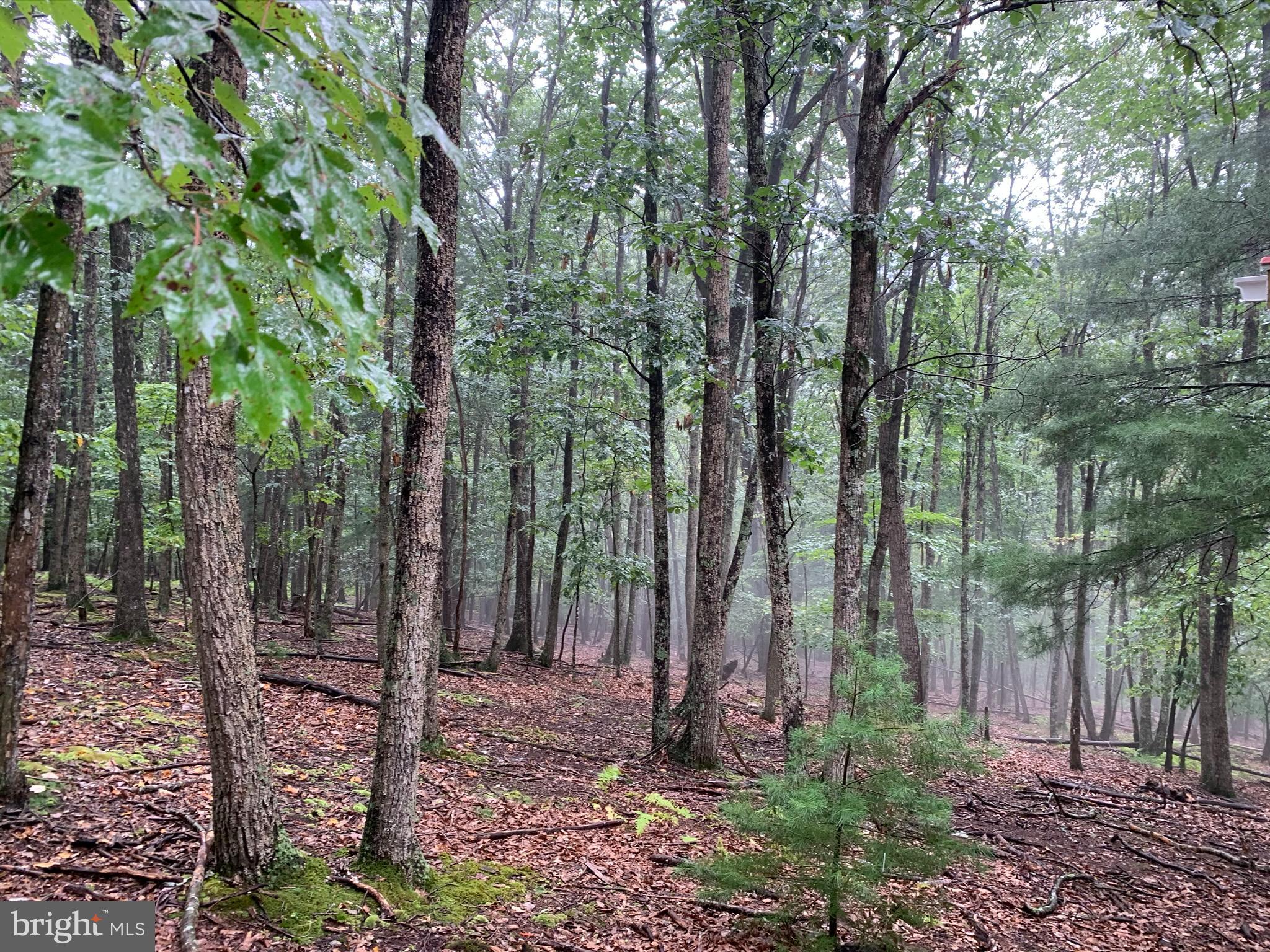 CEDARWOOD - Residential