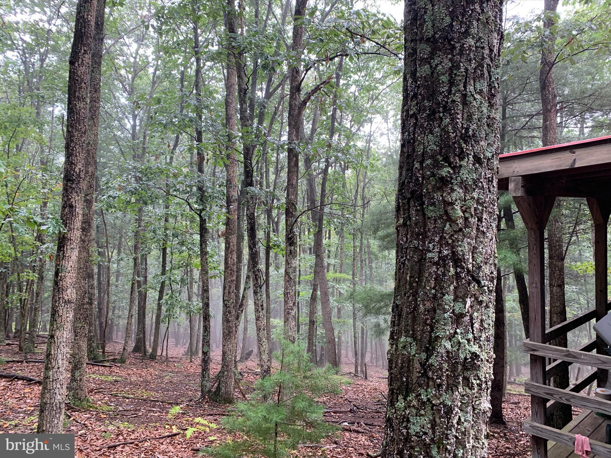 CEDARWOOD - Residential