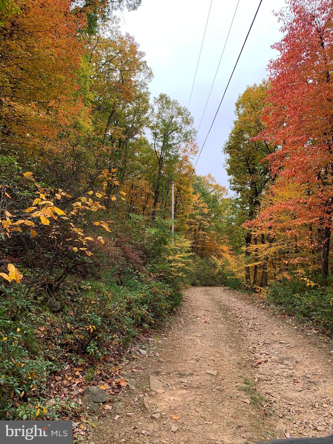 CEDARWOOD - Residential