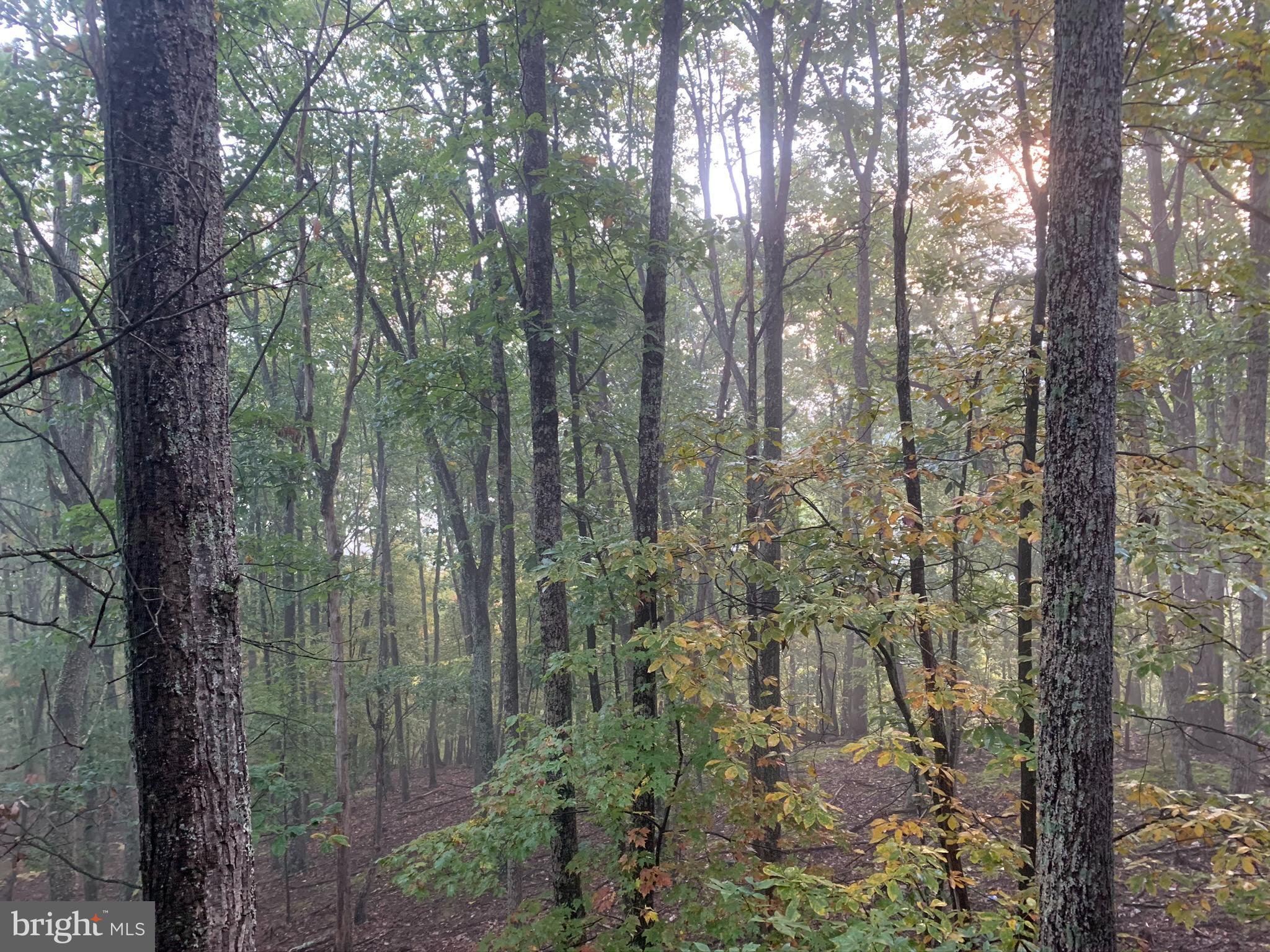 CEDARWOOD - Residential