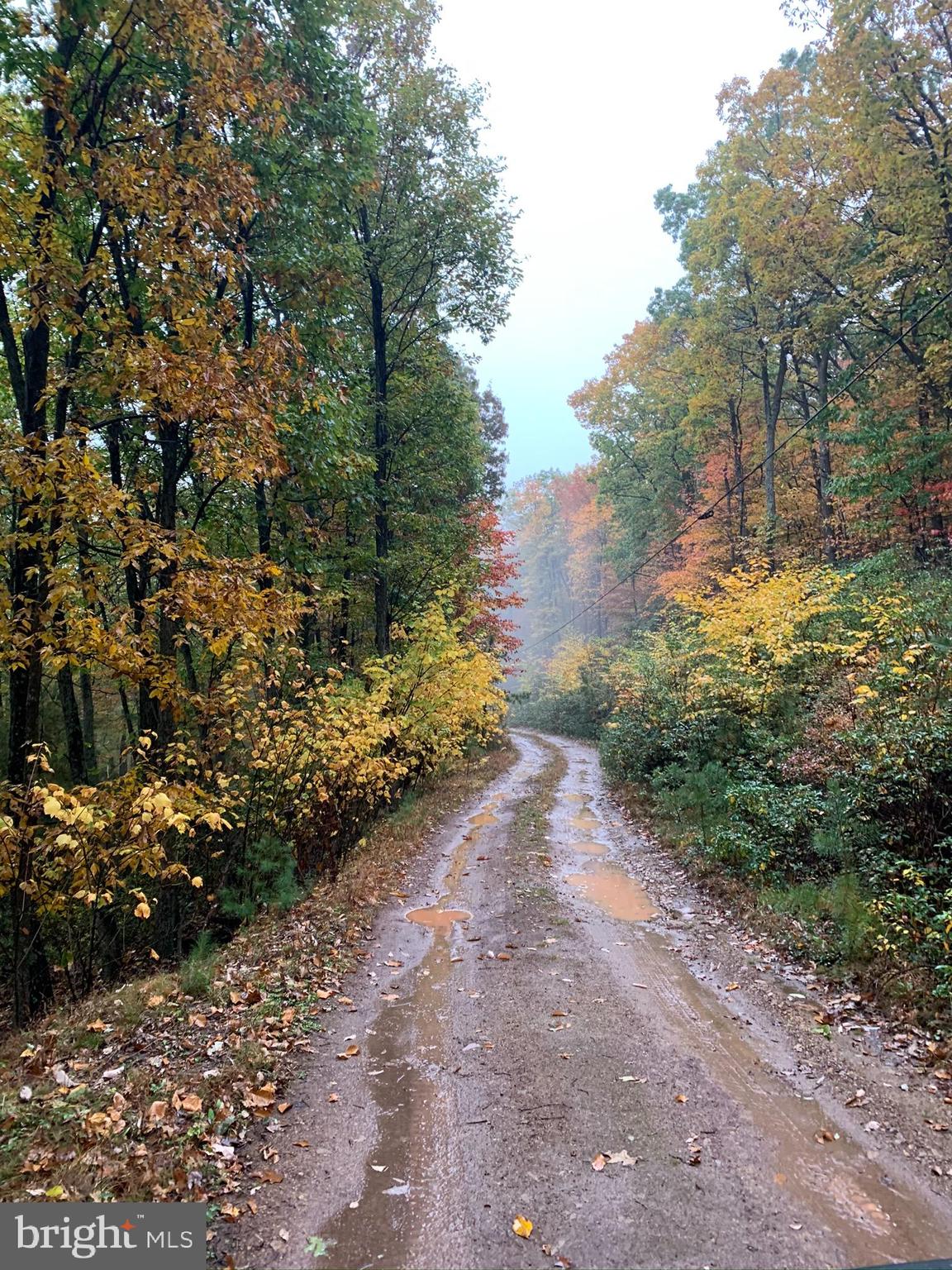 CEDARWOOD - Residential