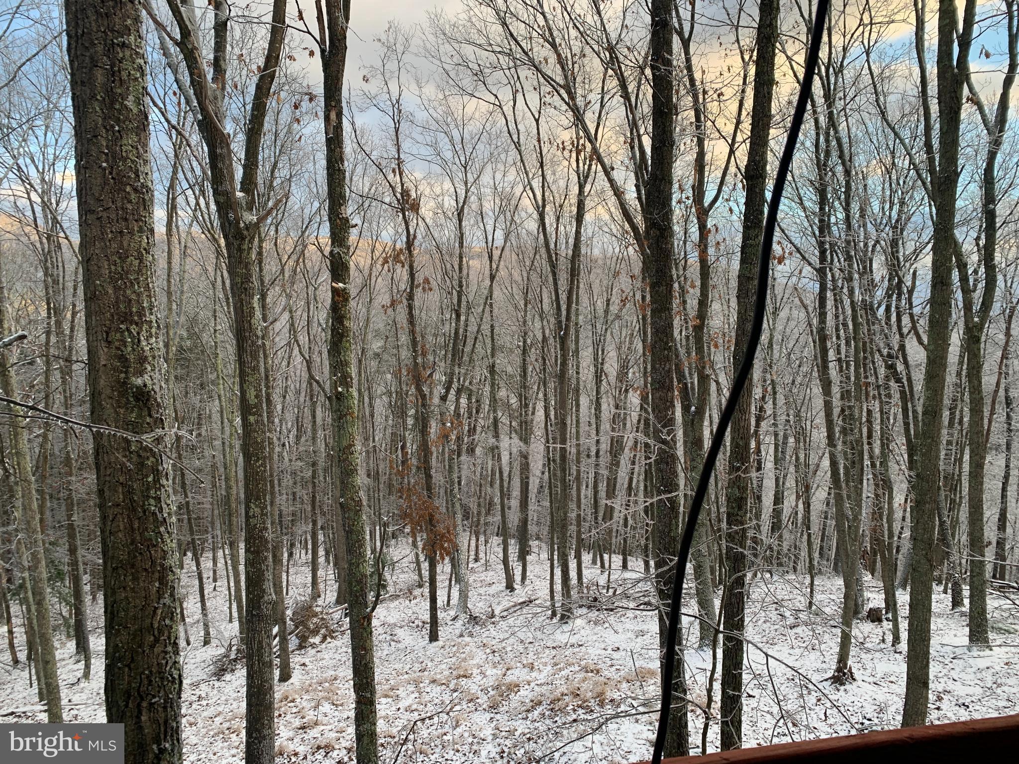 CEDARWOOD - Residential