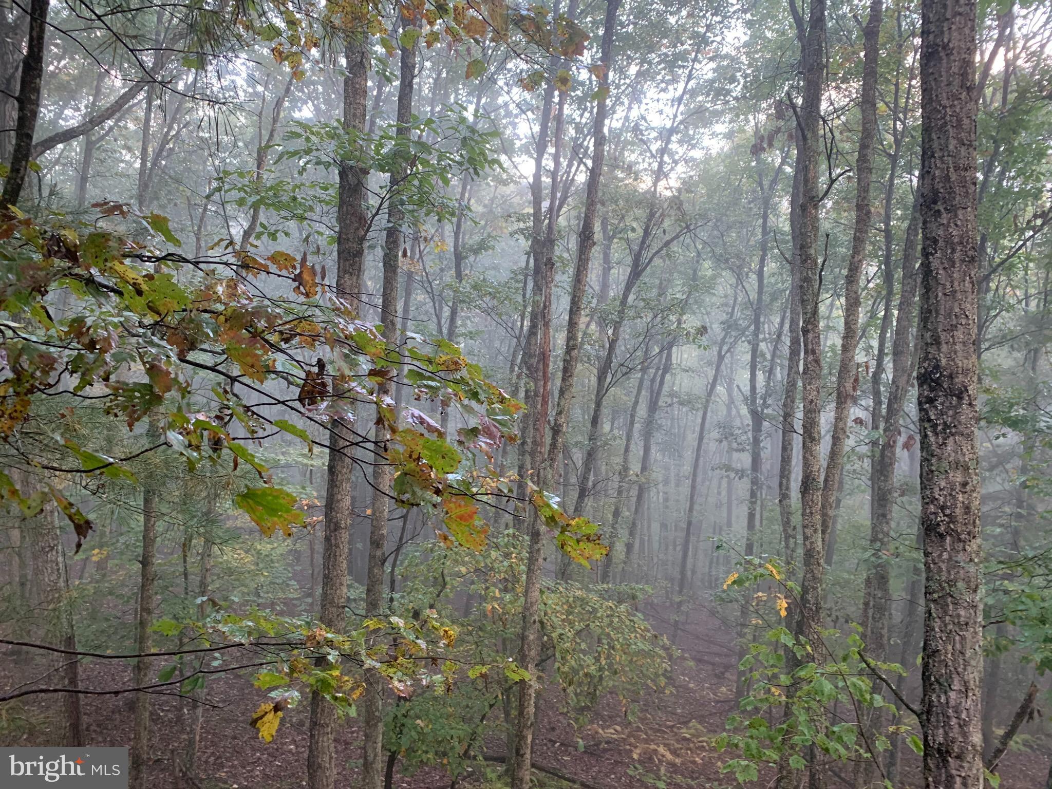 CEDARWOOD - Residential