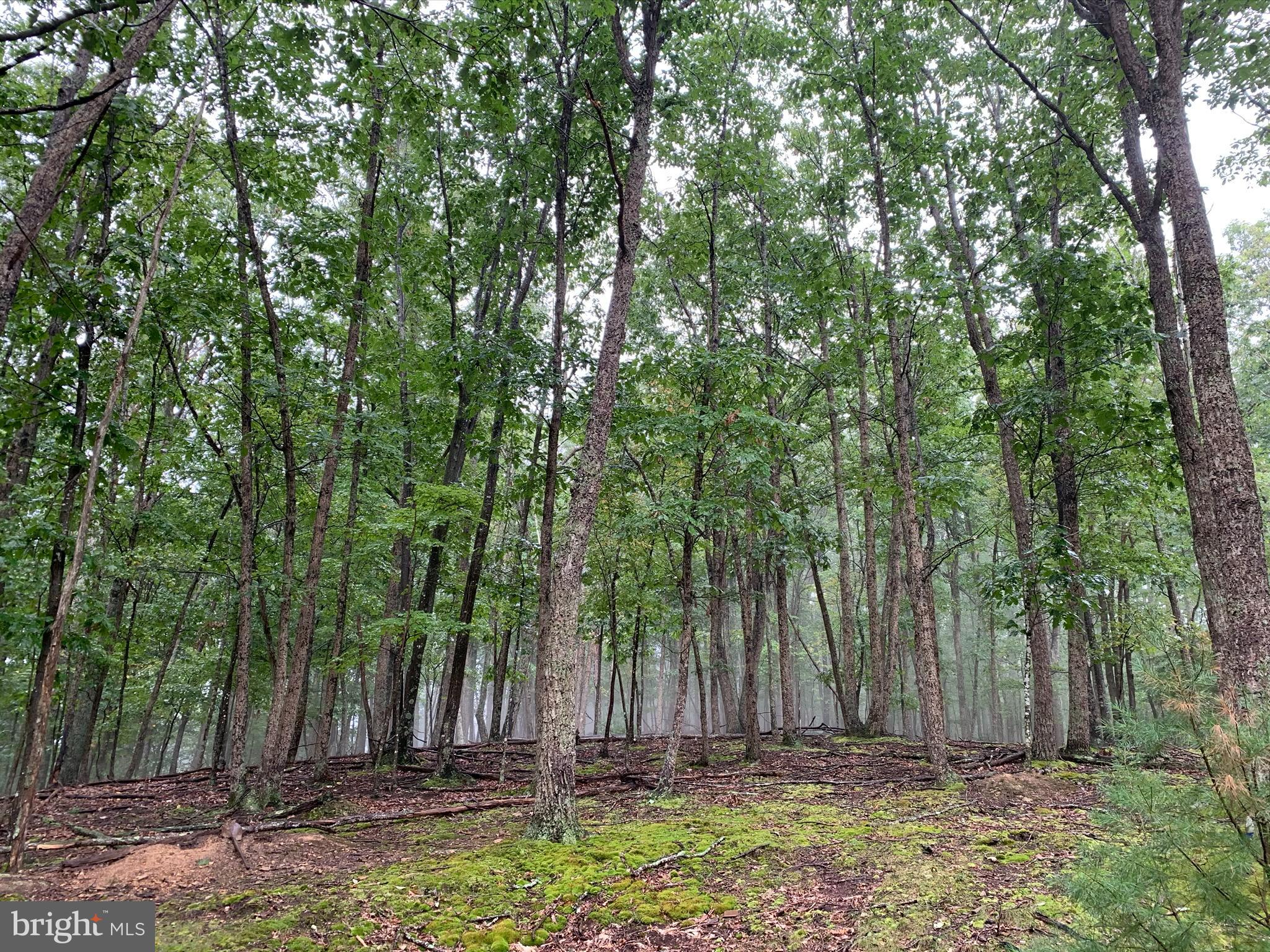 CEDARWOOD - Residential