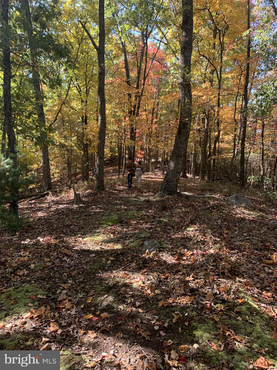 CEDARWOOD - Residential