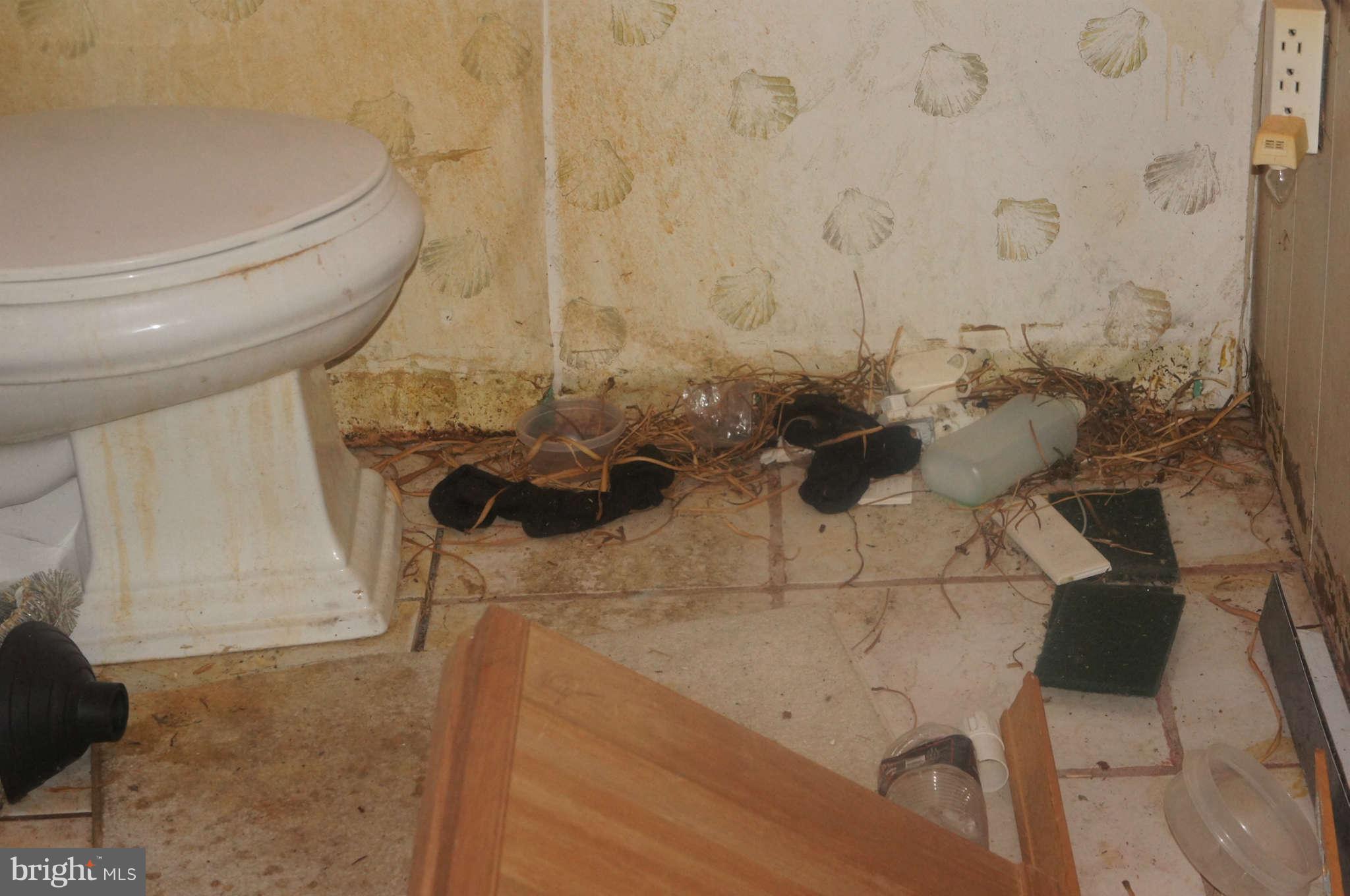 PALMER PARK - Residential