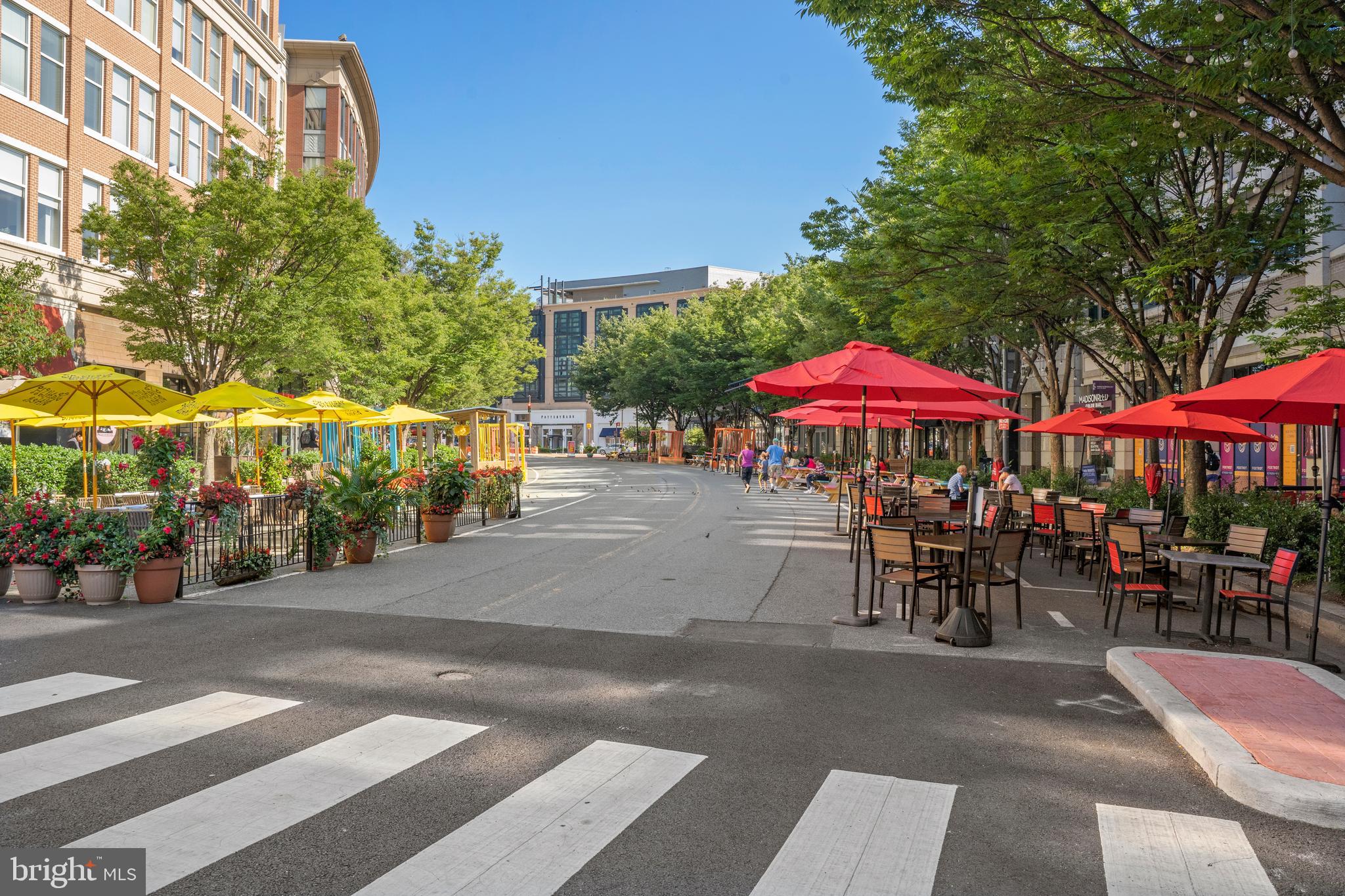 CHEVY CHASE GARDENS - Residential