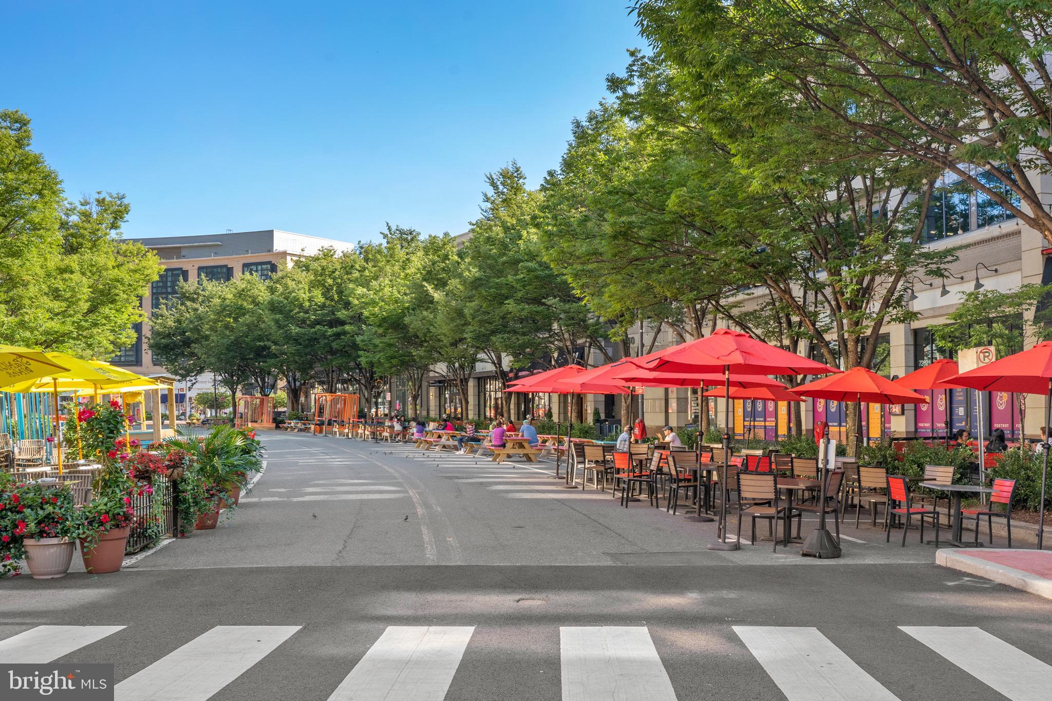 CHEVY CHASE GARDENS - Residential