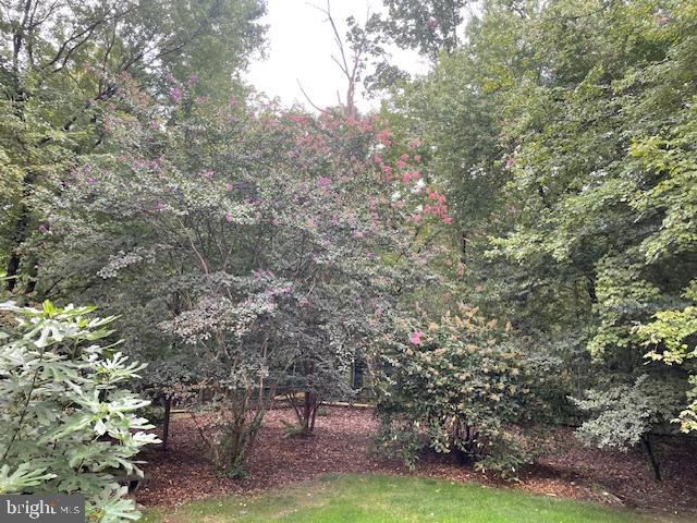 GRANDISONS PURCHASE - Residential