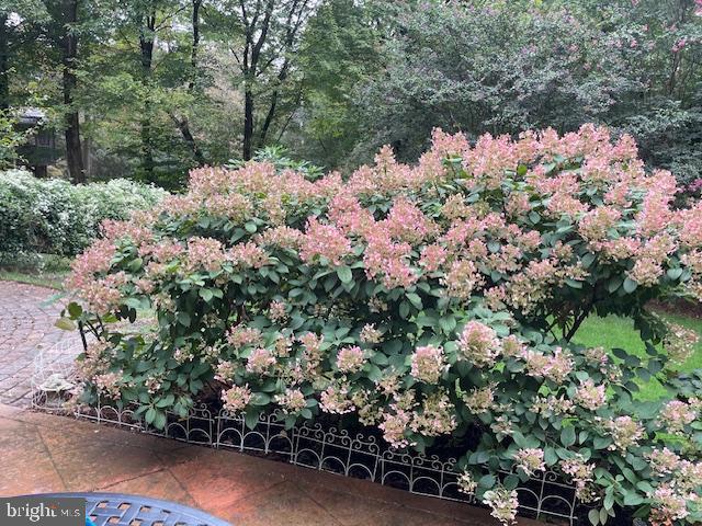 GRANDISONS PURCHASE - Residential