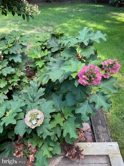 GRANDISONS PURCHASE - Residential