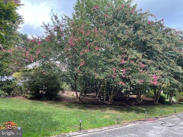 GRANDISONS PURCHASE - Residential