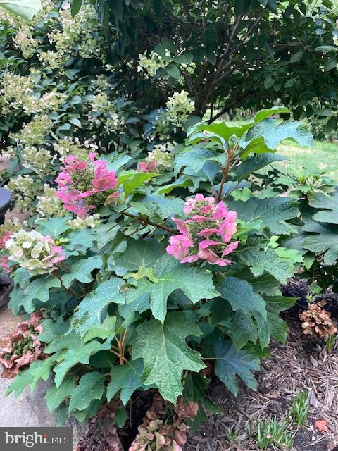 GRANDISONS PURCHASE - Residential