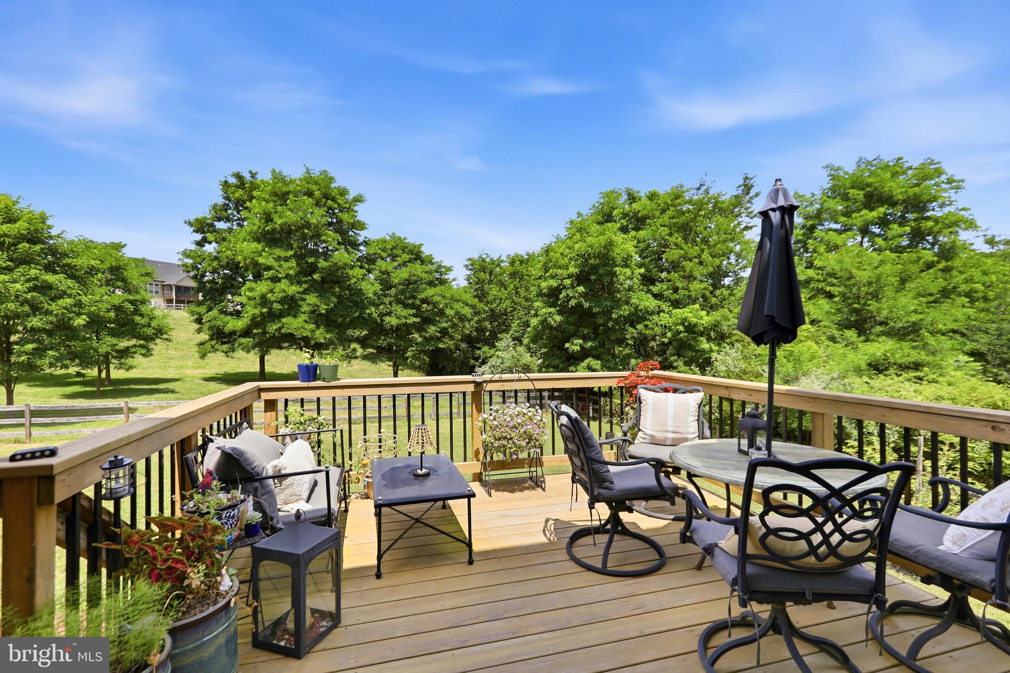 113 DIVOT COURT