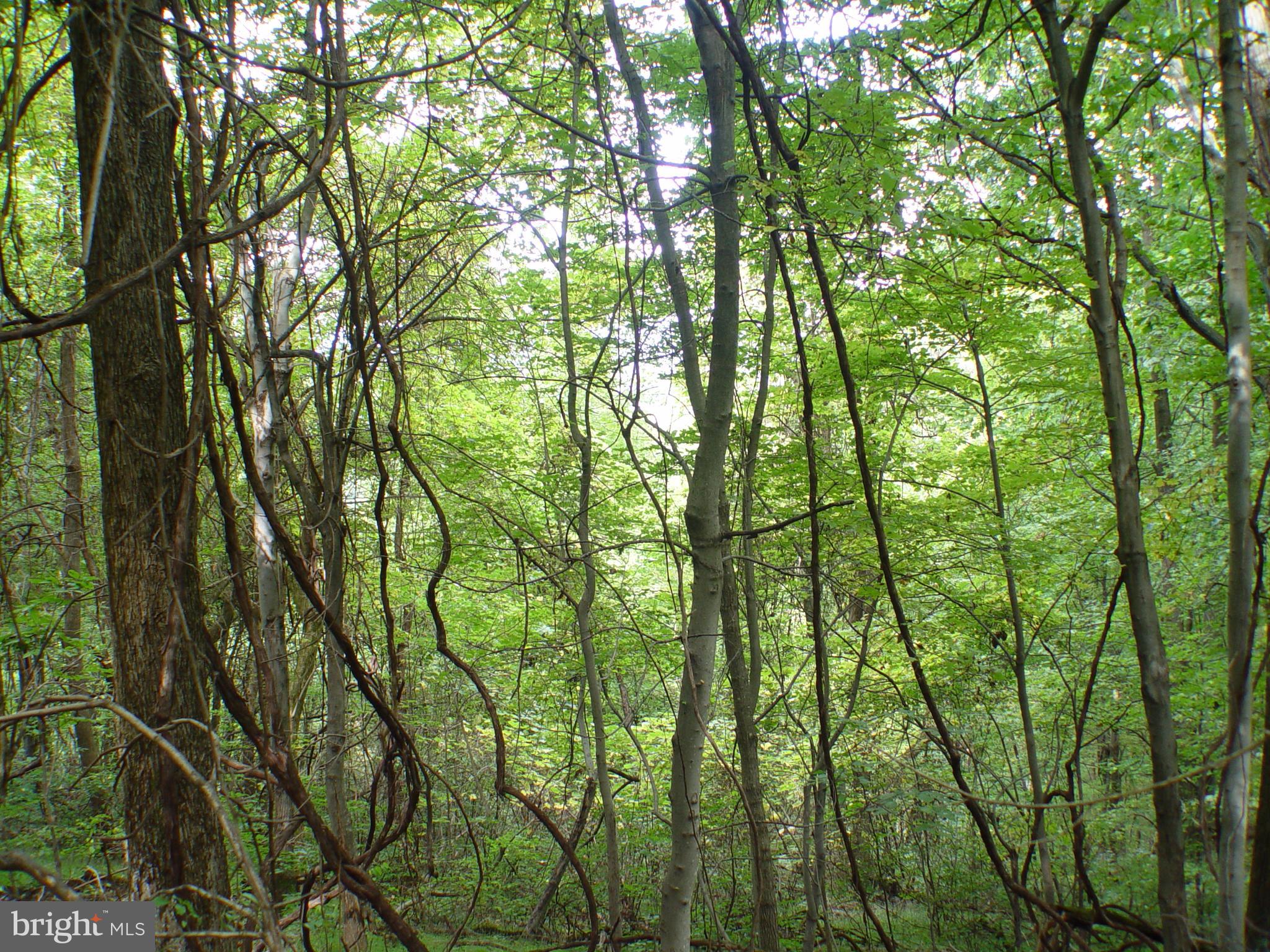 SKYLINE LAKES WEST - Land