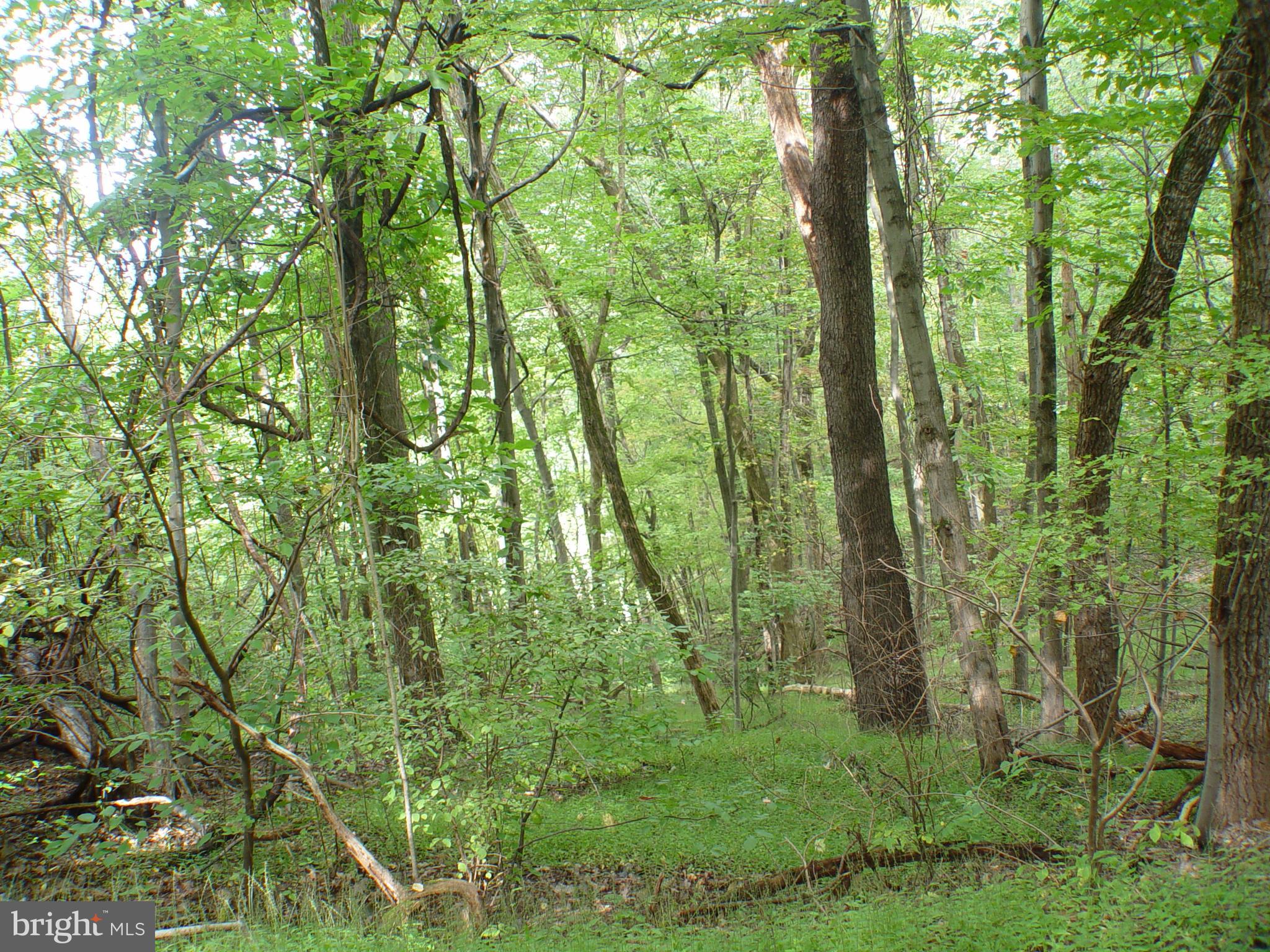 SKYLINE LAKES WEST - Land