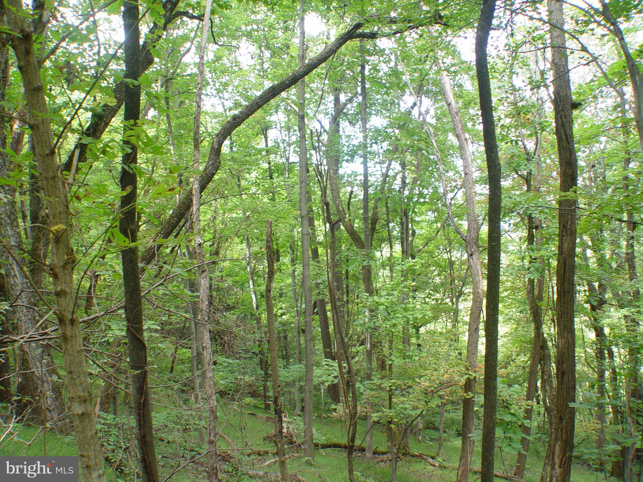 SKYLINE LAKES WEST - Land