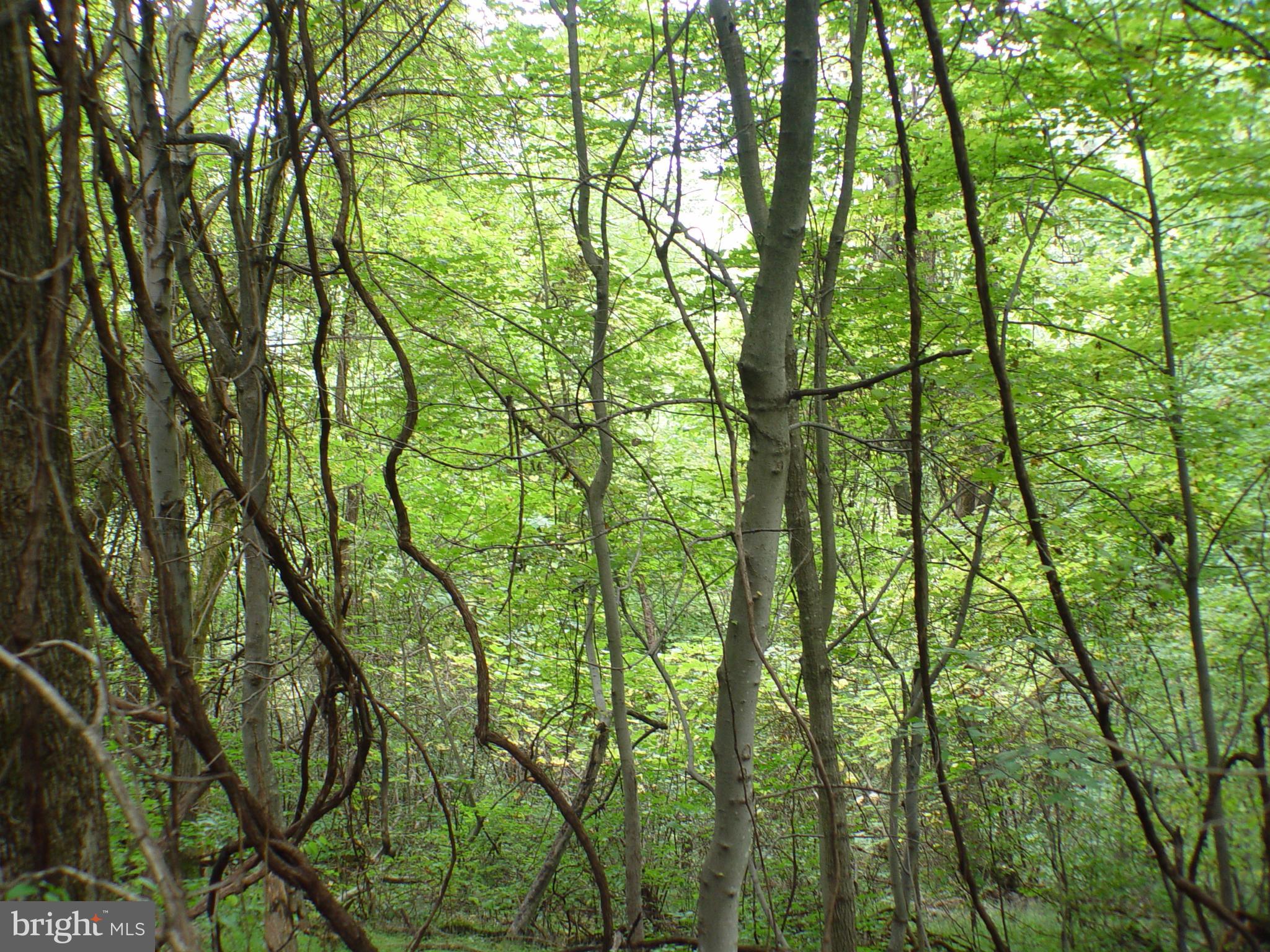 SKYLINE LAKES WEST - Land