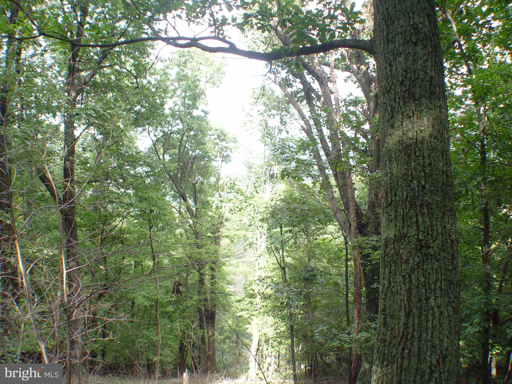 SKYLINE LAKES WEST - Land