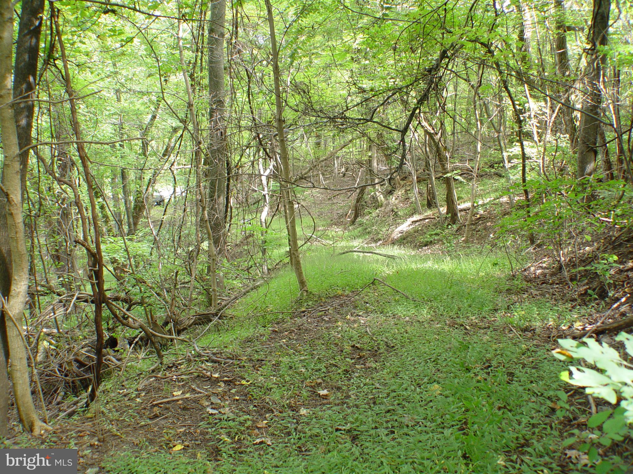 SKYLINE LAKES WEST - Land