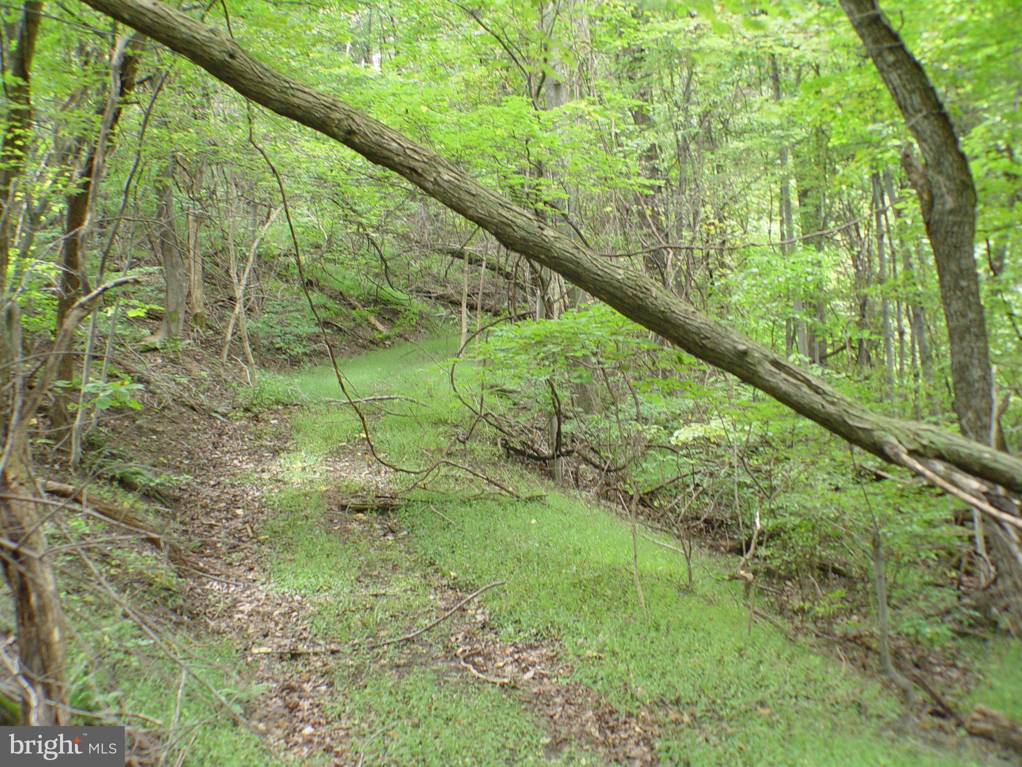 SKYLINE LAKES WEST - Land