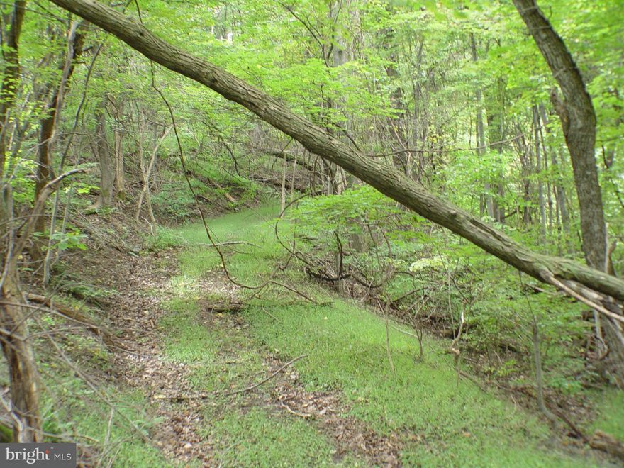 Rare opportunity gorgeous lot near the town of Stanley. This .94 acre lot is located right outside of the town of Stanley on Tanners Ridge Rd. in Skyline Lakes West. If it's privacy and convenience you're looking for this is the lot for you. Imagine that little weekend getaway or the home of your dreams. Call today to schedule a showing on this rare opportunity.