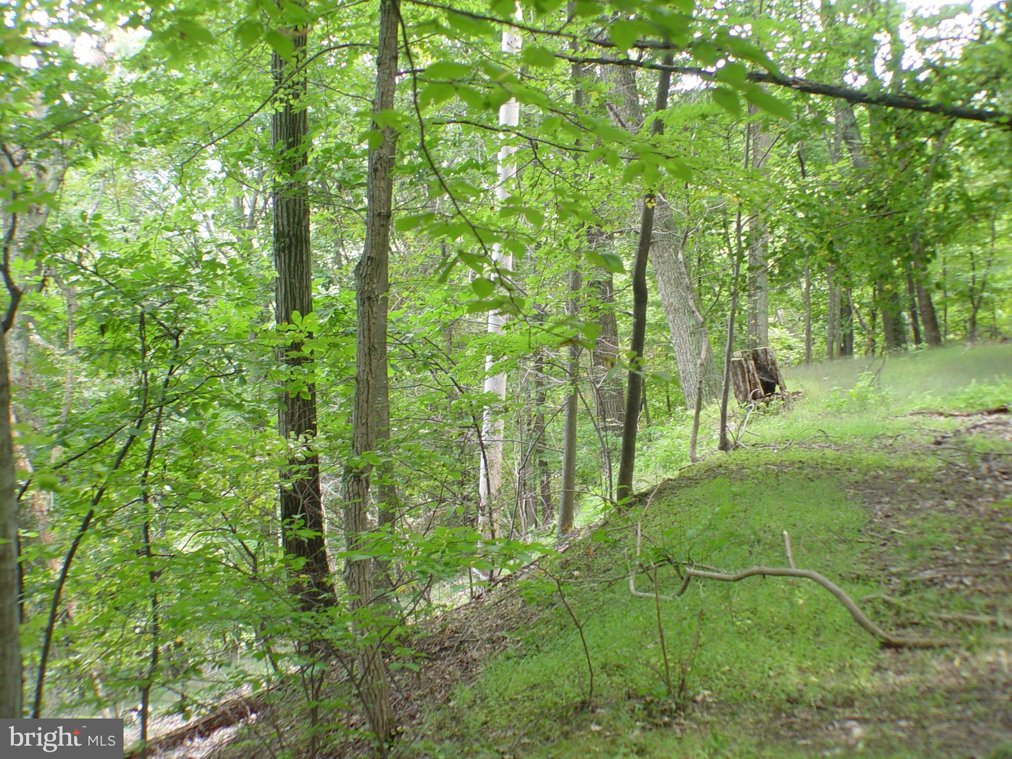 SKYLINE LAKES WEST - Land