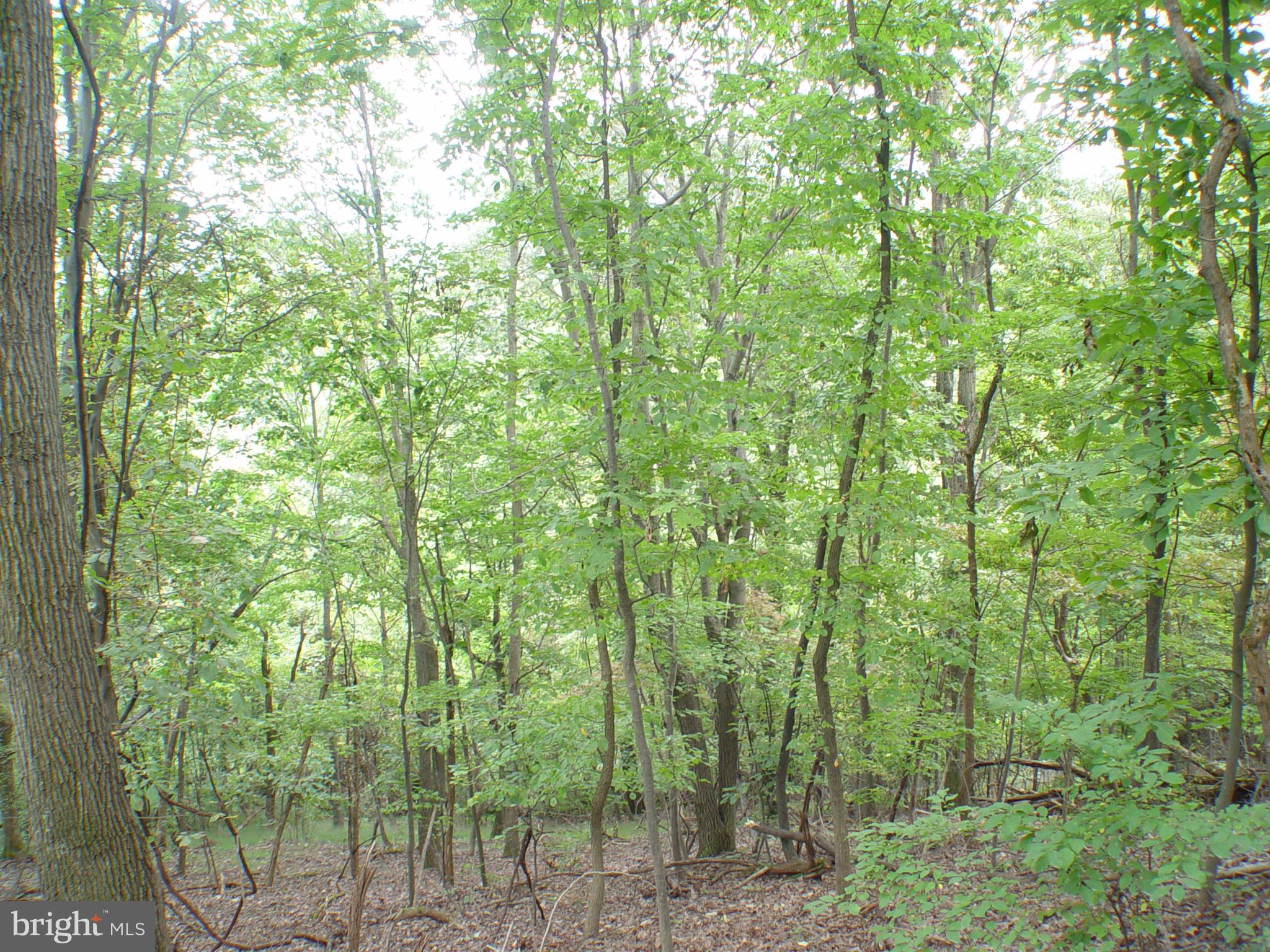 SKYLINE LAKES WEST - Land