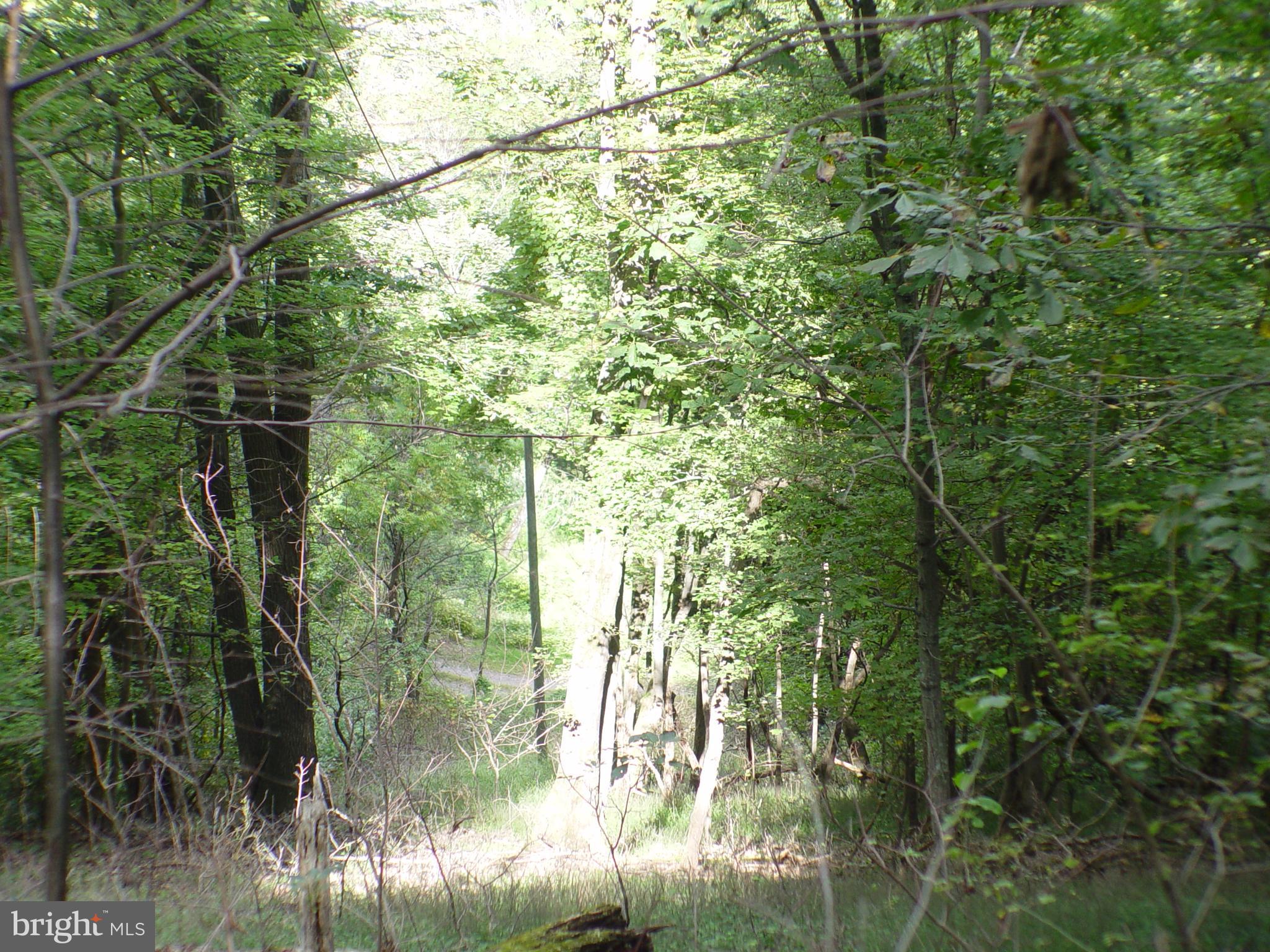 SKYLINE LAKES WEST - Land