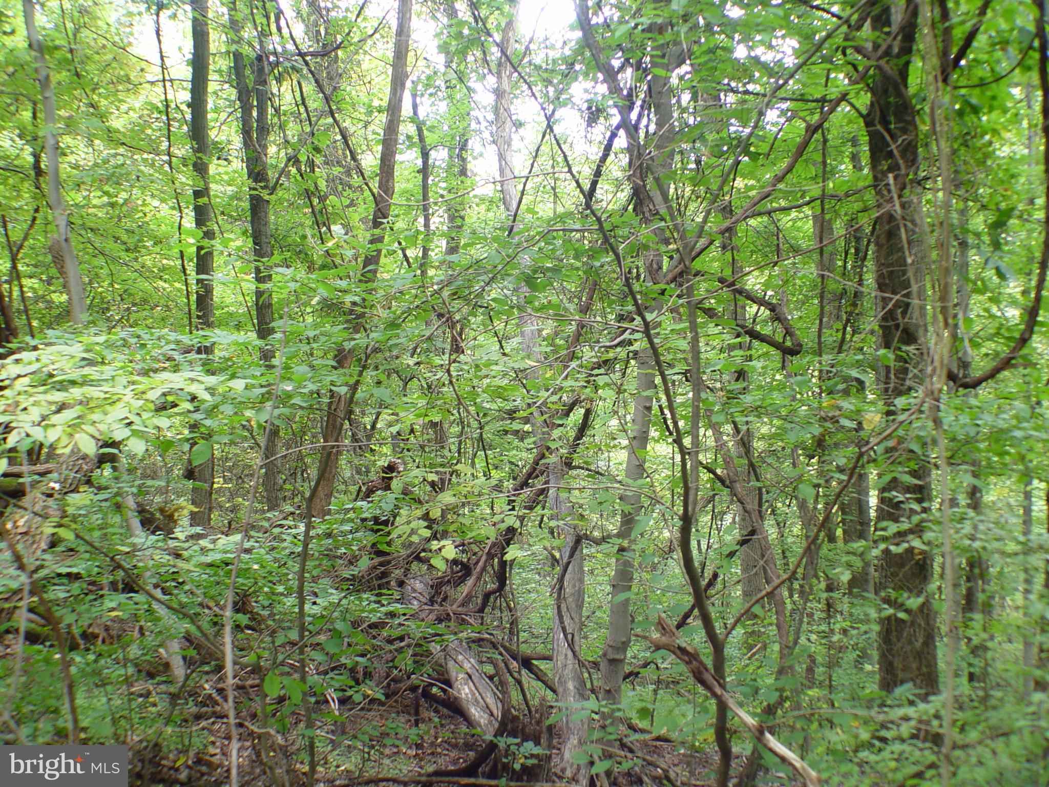 SKYLINE LAKES WEST - Land