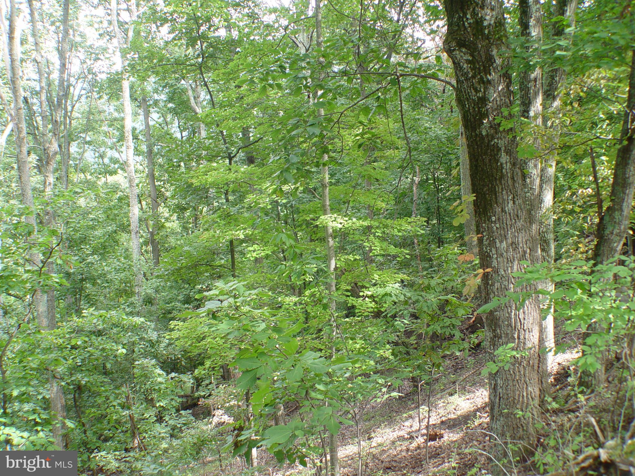 SKYLINE LAKES WEST - Land