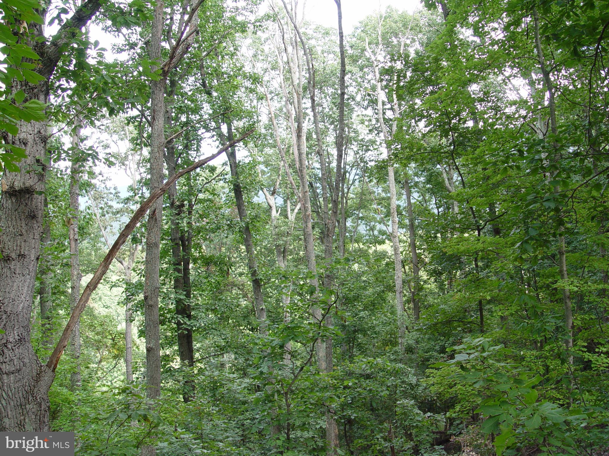 SKYLINE LAKES WEST - Land