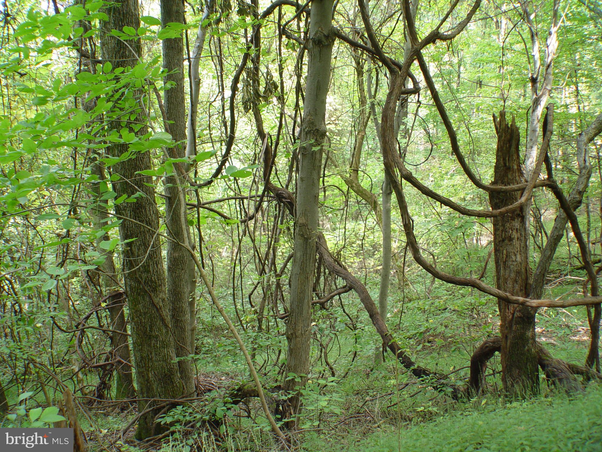 SKYLINE LAKES WEST - Land