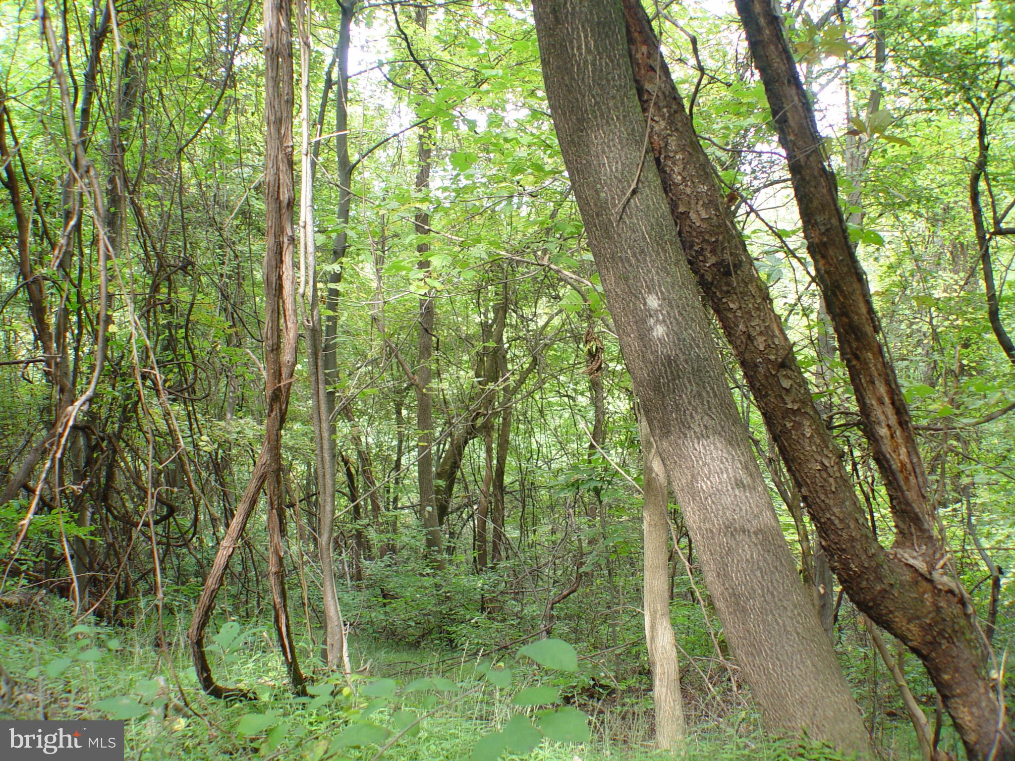 SKYLINE LAKES WEST - Land