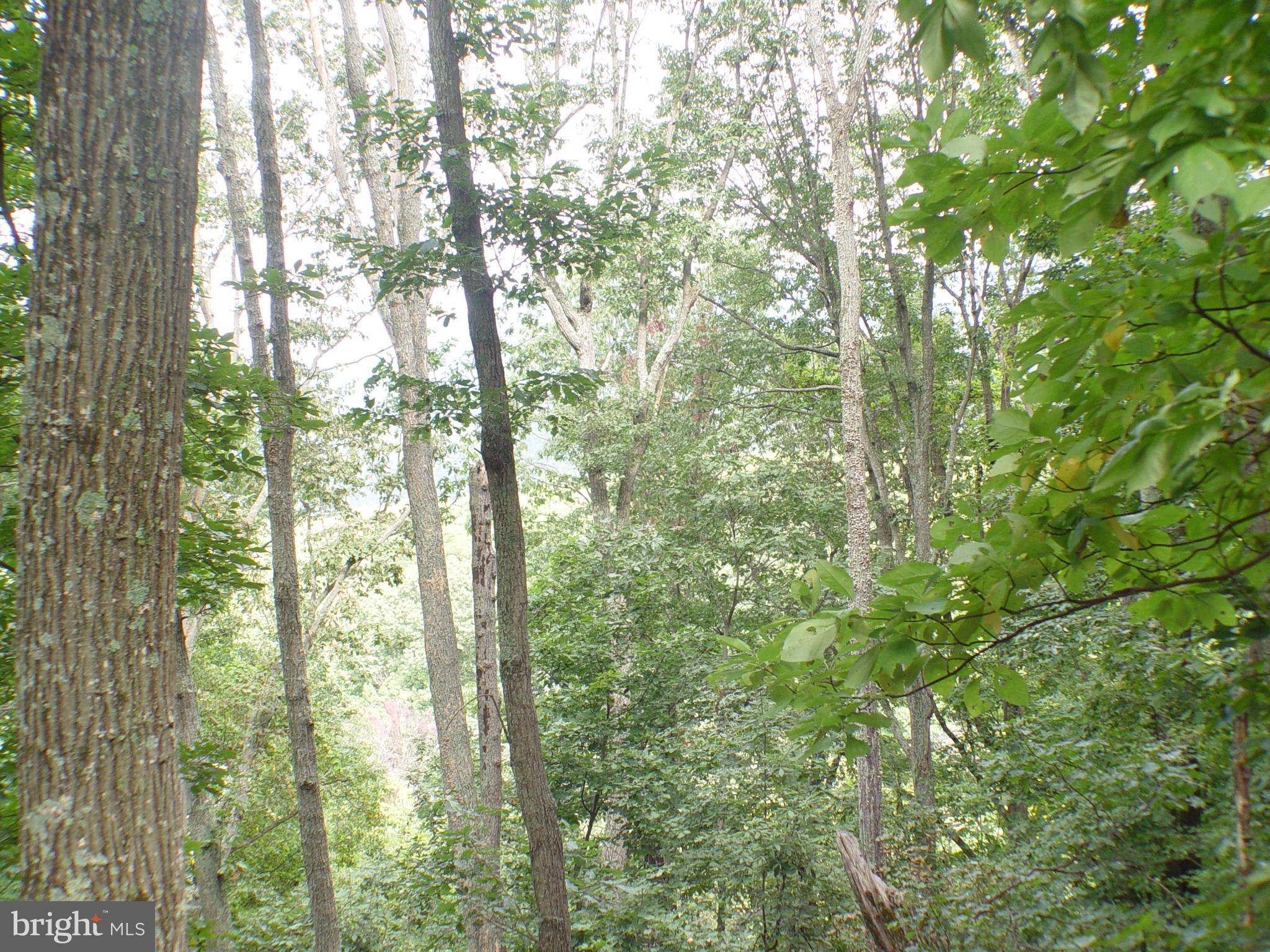 SKYLINE LAKES WEST - Land