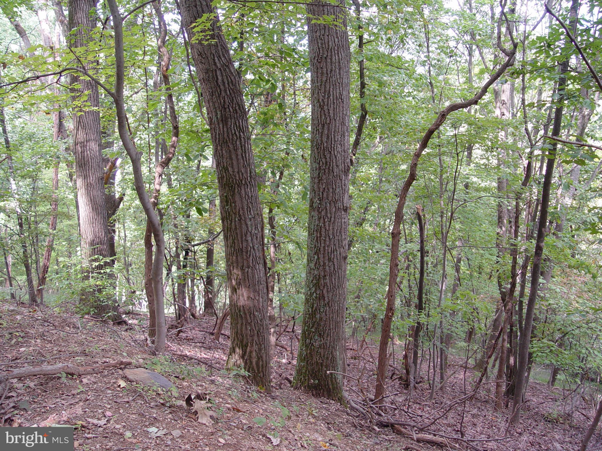 SKYLINE LAKES WEST - Land