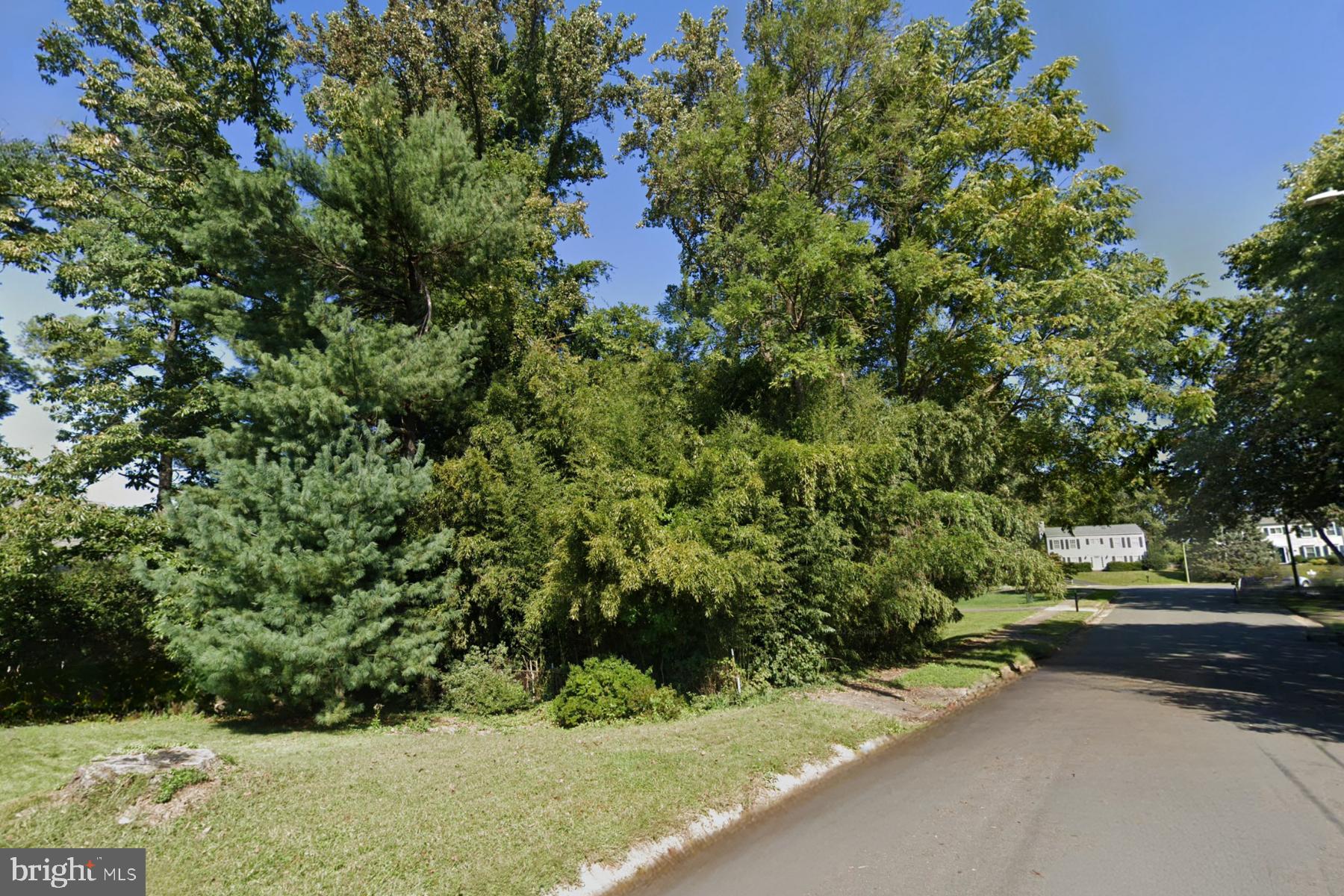 MONTOUR HEIGHTS - Land