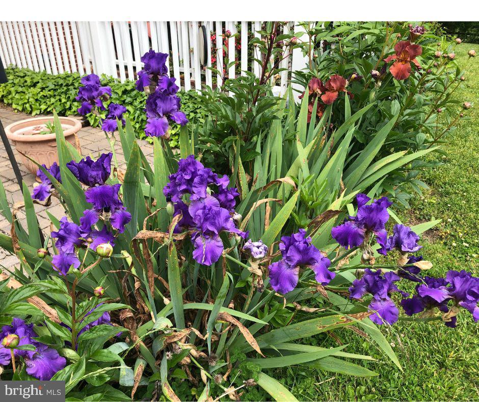 KALMIA FARMS - Residential